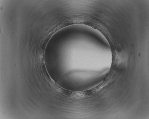 X0000067860329200604131322