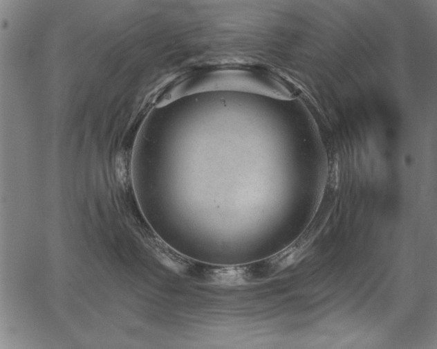 X0000067860335200604131322