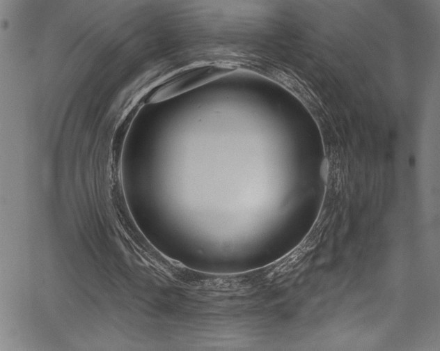 X0000067860338200604131322
