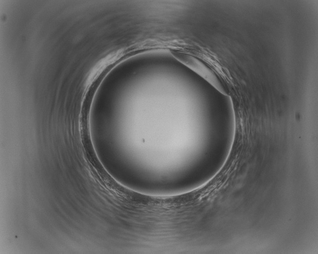X0000067860340200604131322
