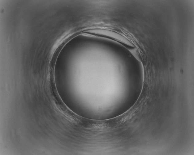 X0000067860344200604131322