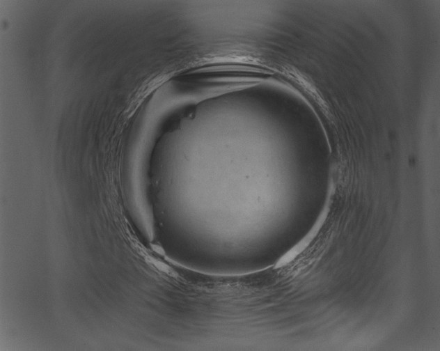 X0000067860385200604131321