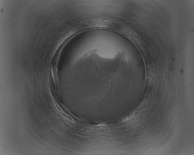 X0000067860386200604131321