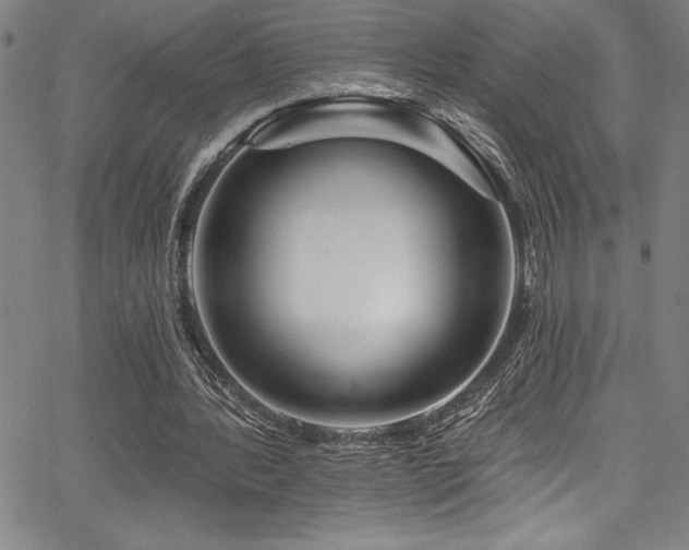 X0000067860388200604131321