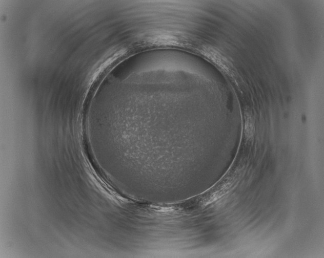 X0000067860390200604131321