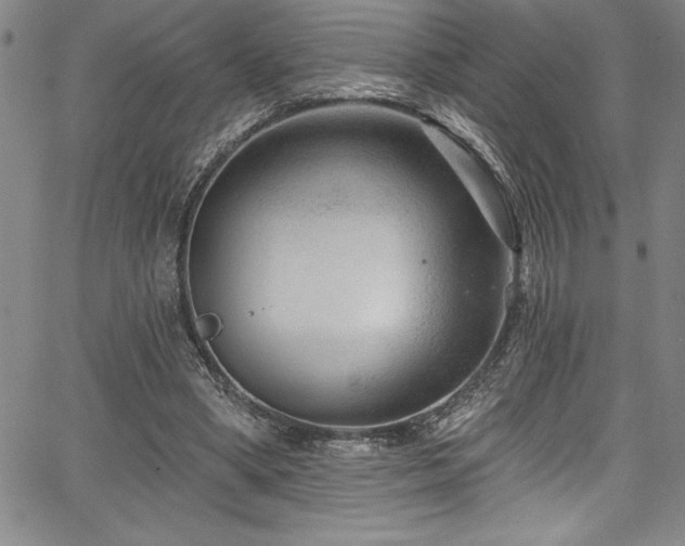 X0000067860394200604131321