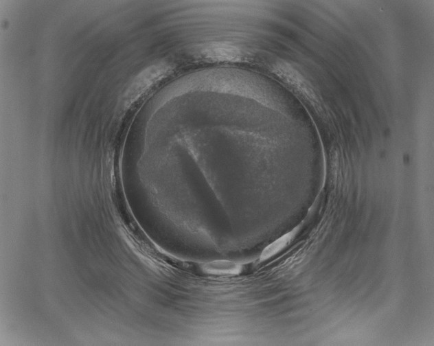 X0000067860398200604131321