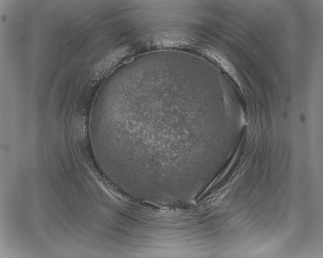 X0000067860401200604131321