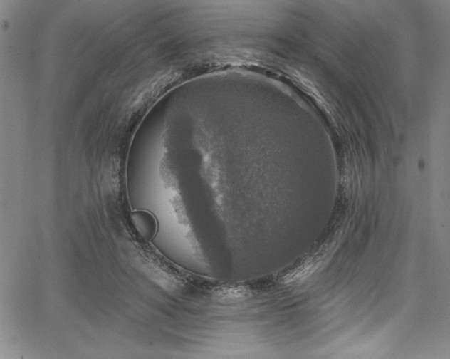 X0000067860402200604131321