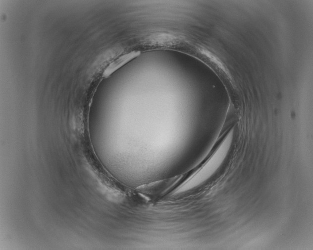 X0000067860403200604131321