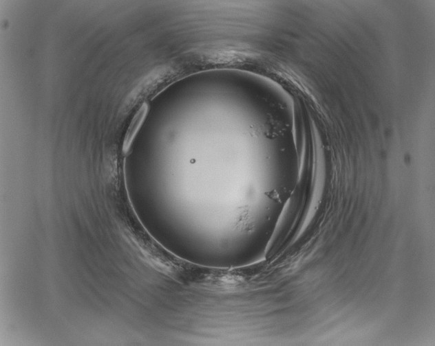 X0000067860407200604131321