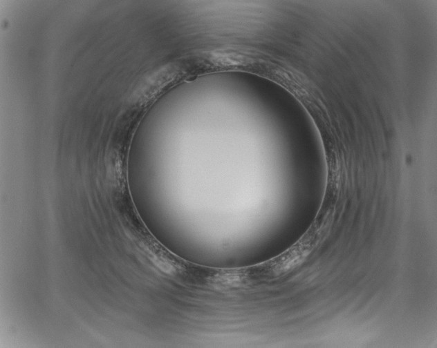 X0000067860418200604131321