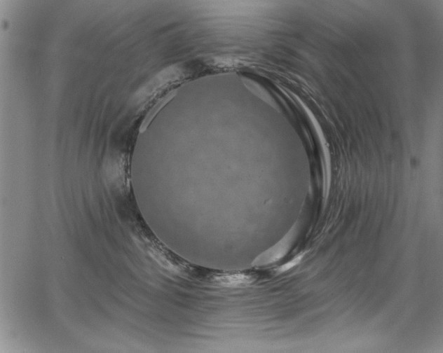 X0000067860428200604131321
