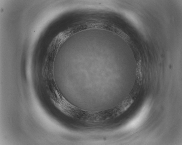 X0000067860431200604131321