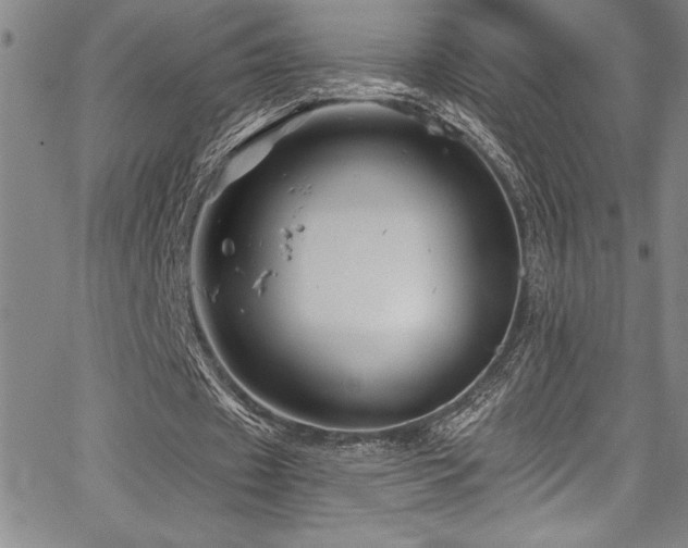 X0000067860433200604131320