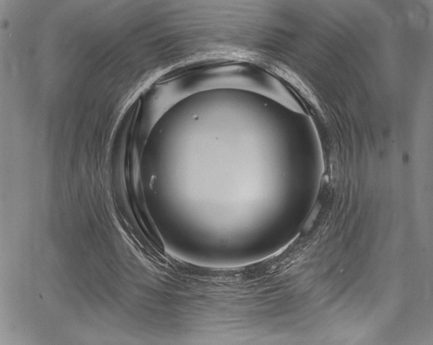 X0000067860436200604131320