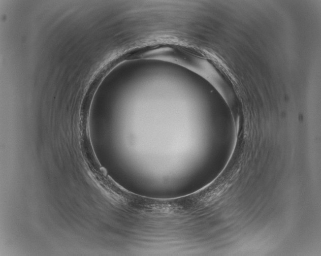 X0000067860439200604131320