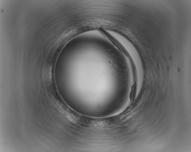 X0000067860454200604131320