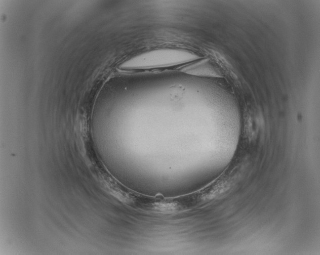 X0000067860457200604131320