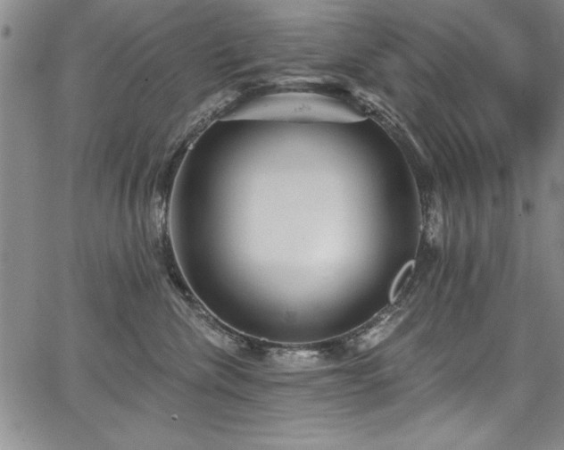 X0000067860476200604131321