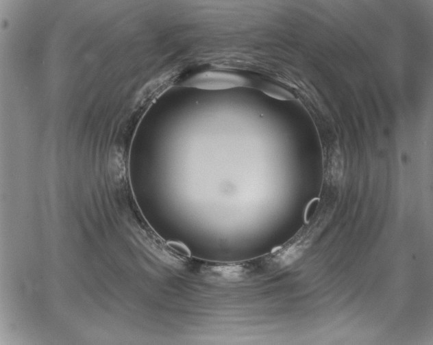 X0000067860478200604131321