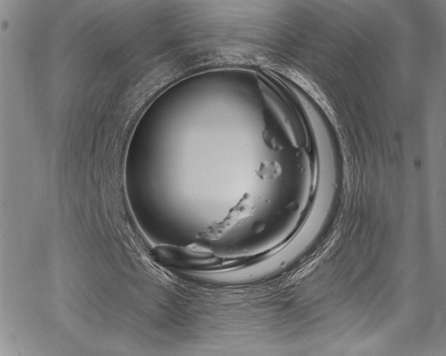 X0000067860481200604131320