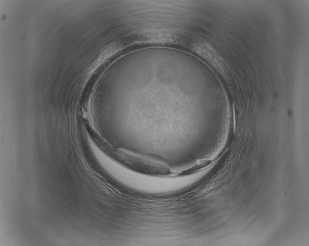 X0000067860483200604131320