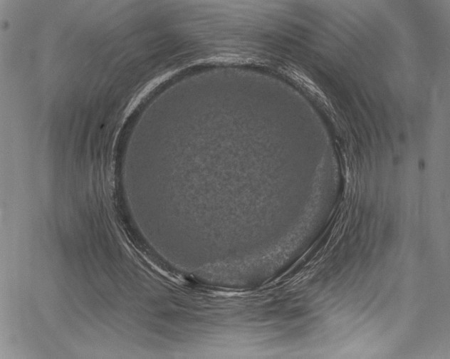 X0000067860484200604131320