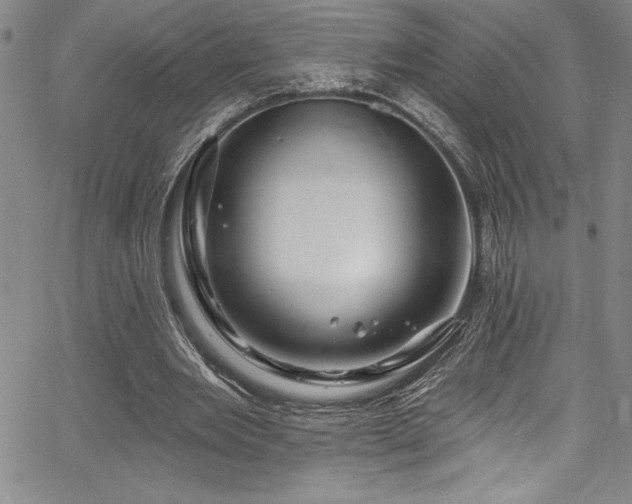 X0000067860485200604131320