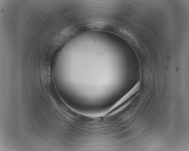 X0000067860498200604131320