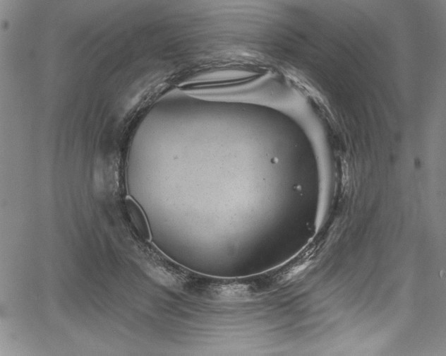 X0000067860501200604131320