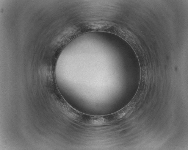 X0000067860510200604131319