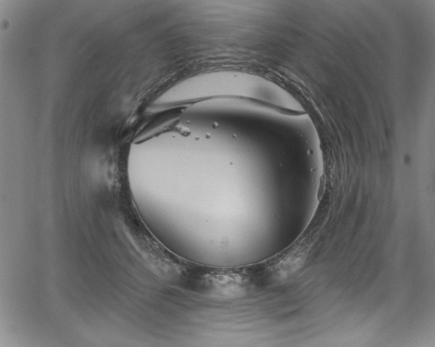 X0000067860512200604131319