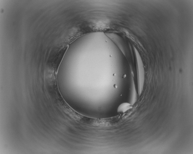 X0000067860521200604131319