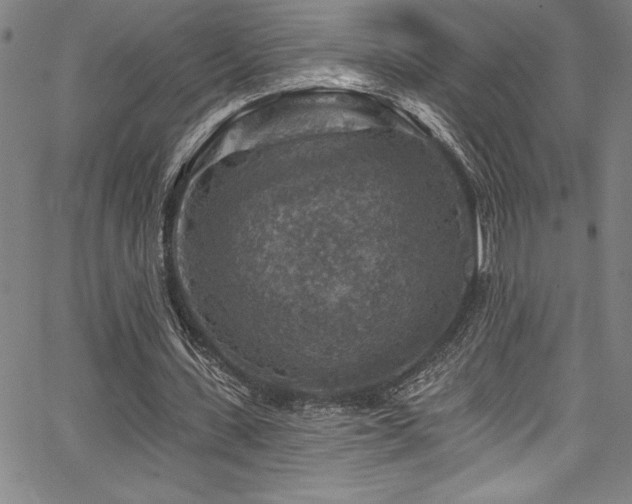 X0000067860531200604131318