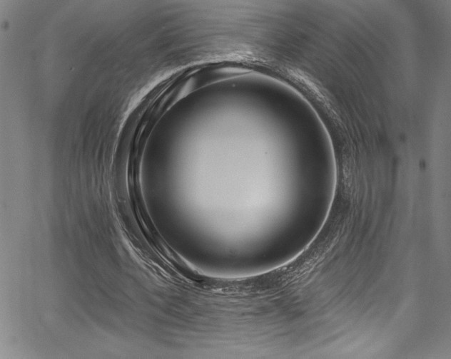 X0000067860532200604131318