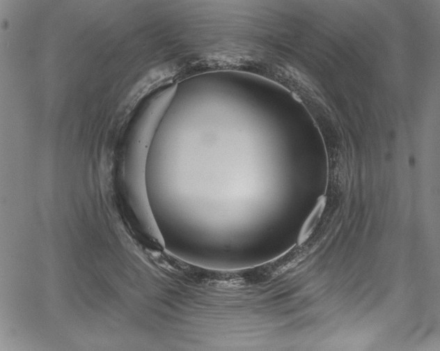 X0000067860548200604131319