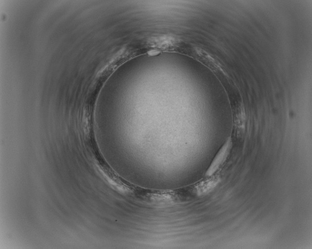 X0000067860572200604131319