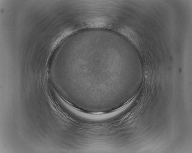 X0000067860583200604131318