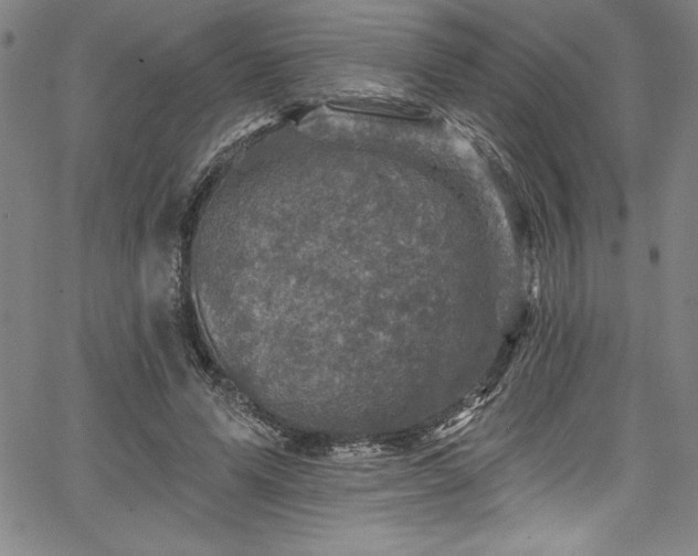 X0000067860591200604131318