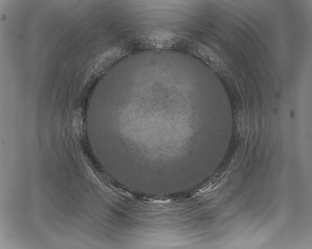 X0000067860594200604131318