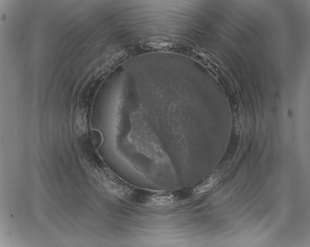 X0000067860606200604131318