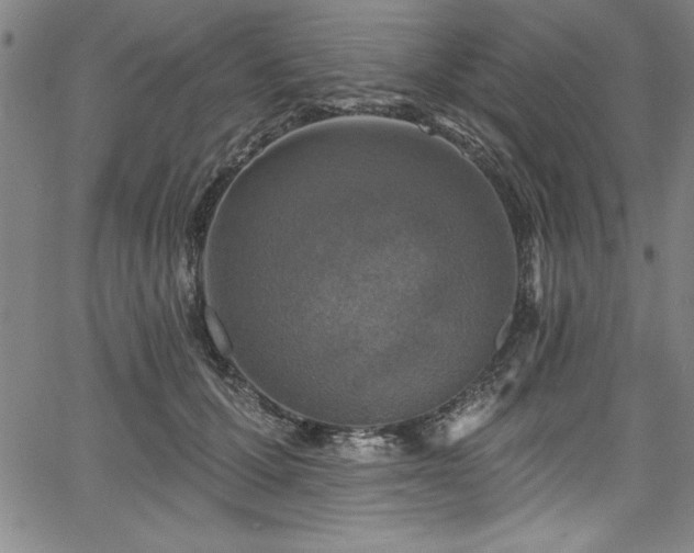 X0000067860607200604131318