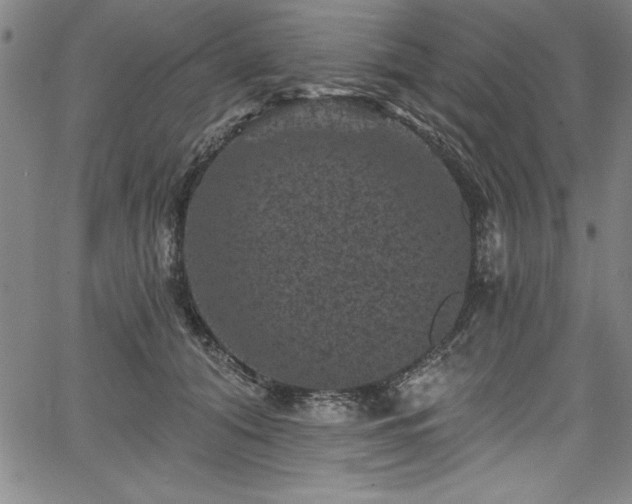 X0000067860608200604131318