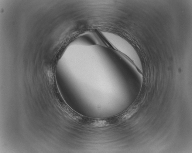 X0000067860609200604131318