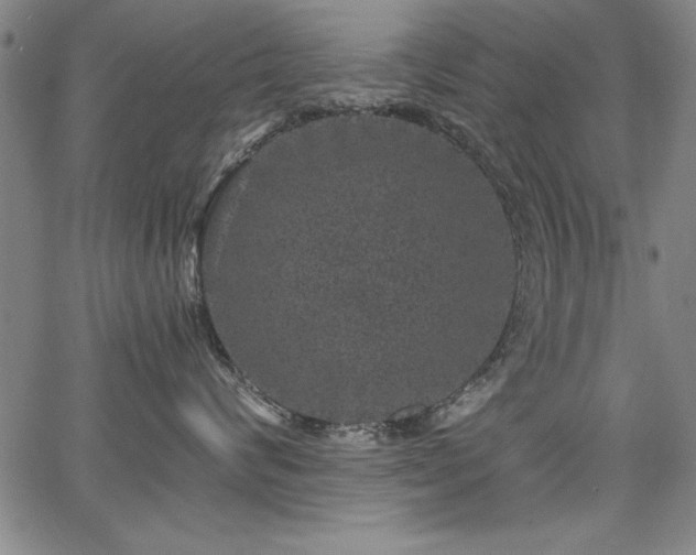 X0000067860624200604131318