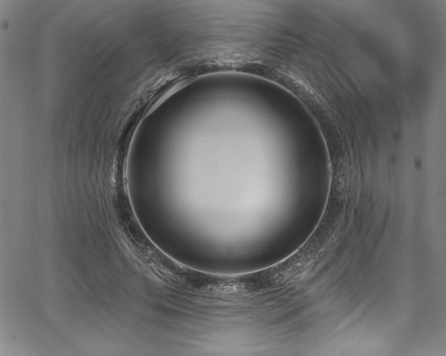 X0000067860639200604131317