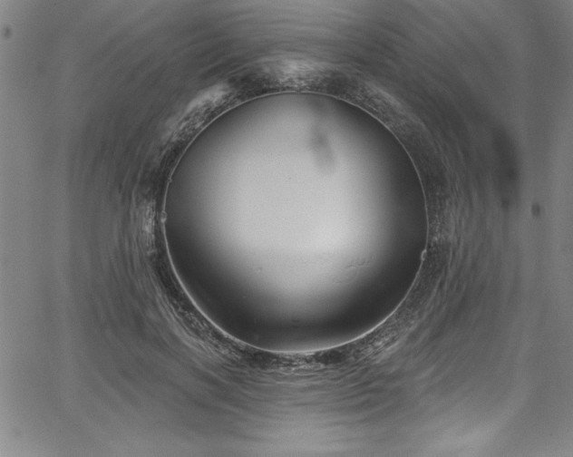 X0000067860646200604131317