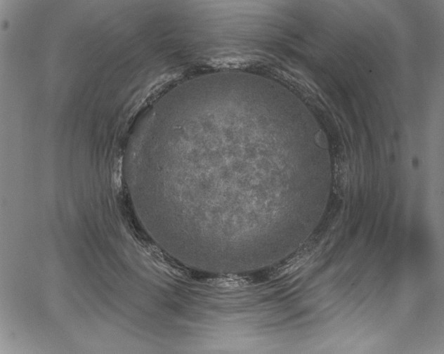 X0000067860652200604131317