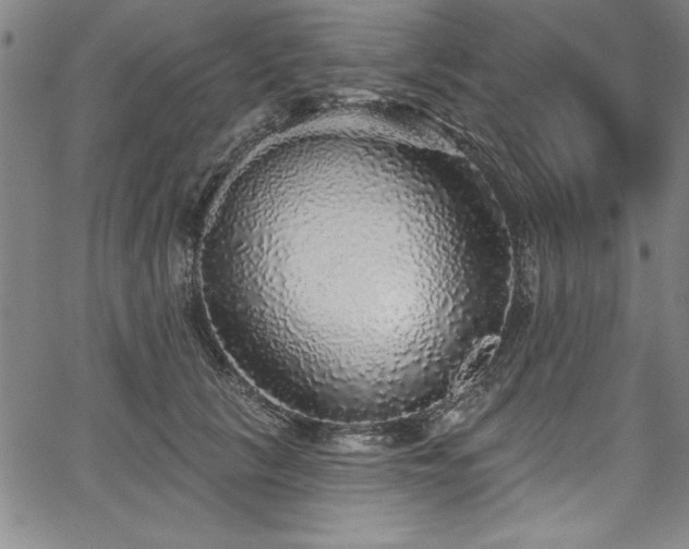 X0000067860657200604131317